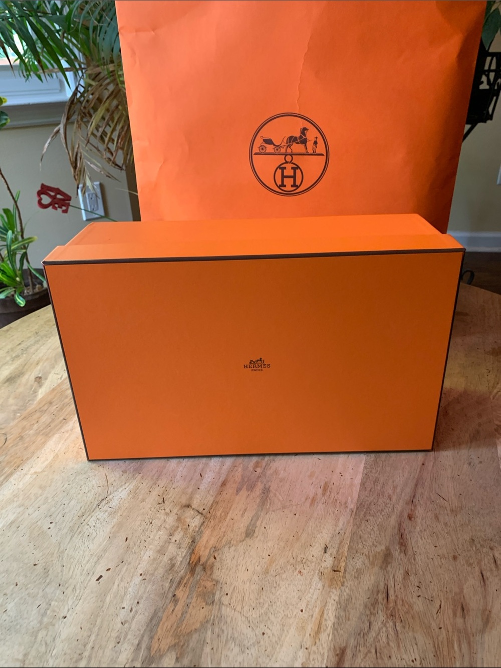 Hermès Gift/Shoe Box w/Ribbon